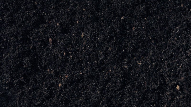 Чернозем текстура