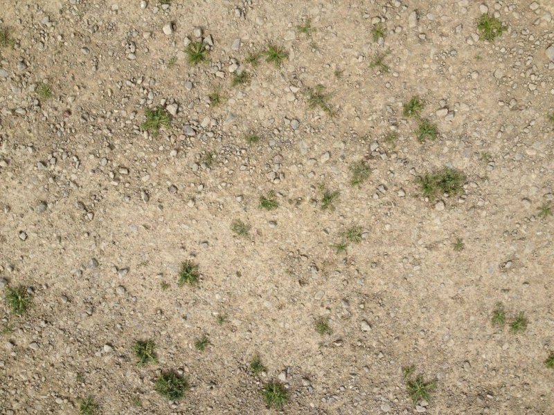 Текстура земли бесшовная