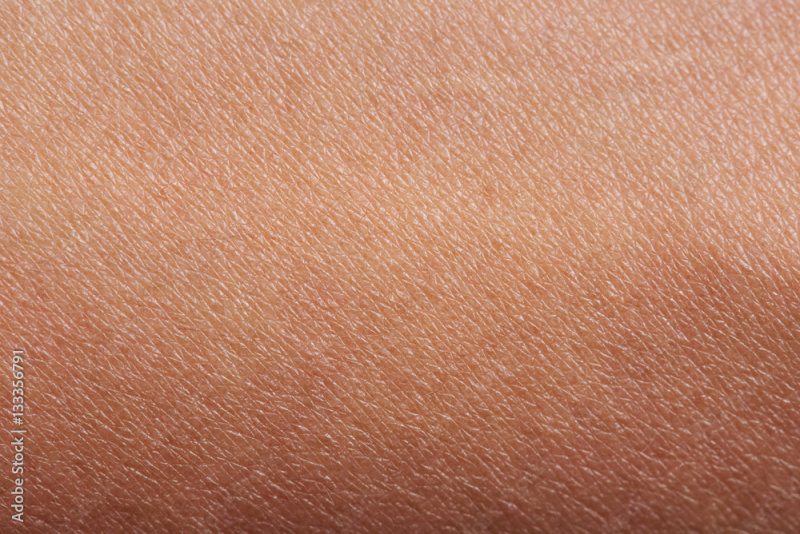 Кожа человеческая