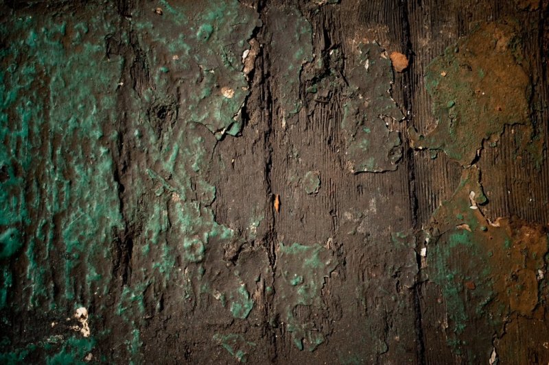 Гнилая древесина текстура