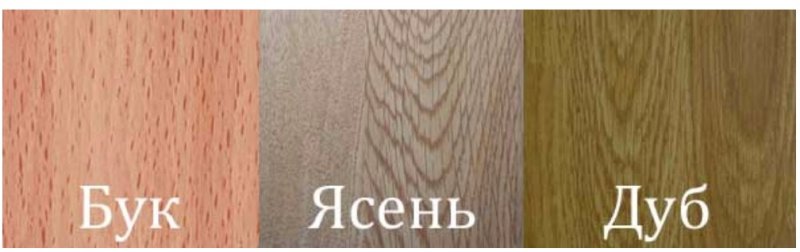 Бук цвет древесины