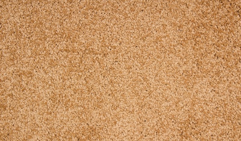 Пробковое дерево текстура