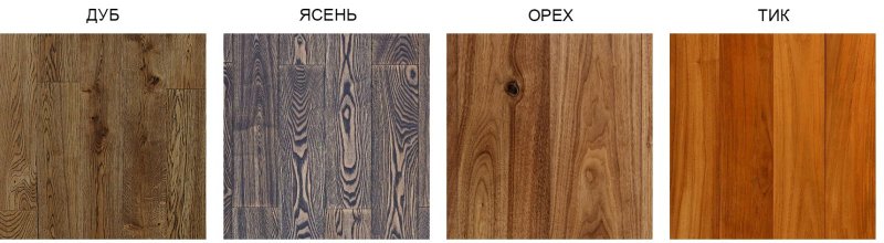 Фактура разных пород дерева