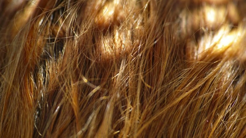 Текстура волос