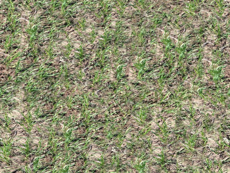 Текстура земли