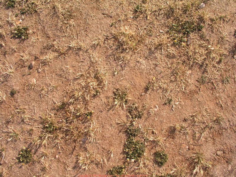 Текстура земли