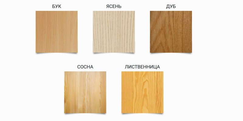 Ясень дуб бук лиственница сосна