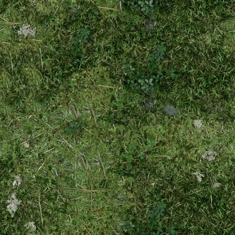 Текстура травы