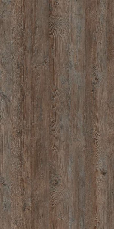 Сосна Санторини Ламарти