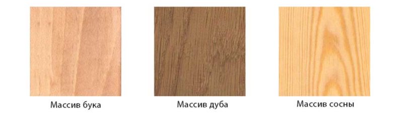 Ясень дуб бук лиственница сосна
