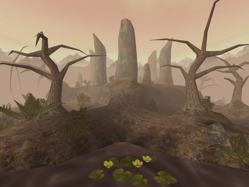 Занзара болото