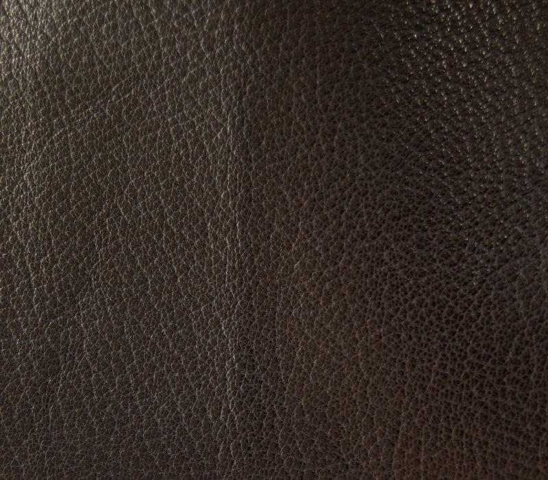 Коричневая кожа