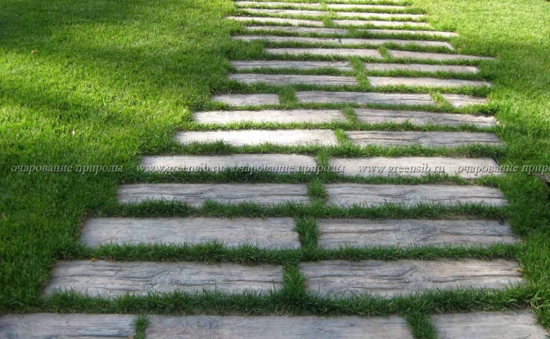Плиты на газоне дорожки