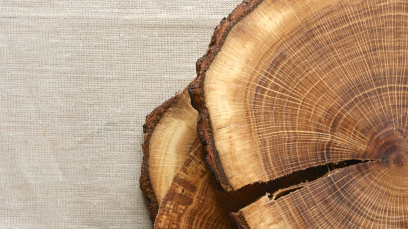 Срез сандалового дерева