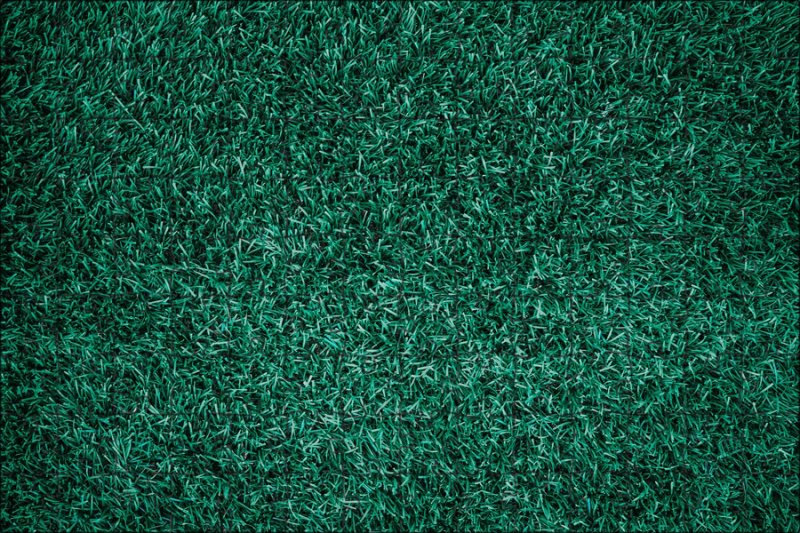 Текстура травы