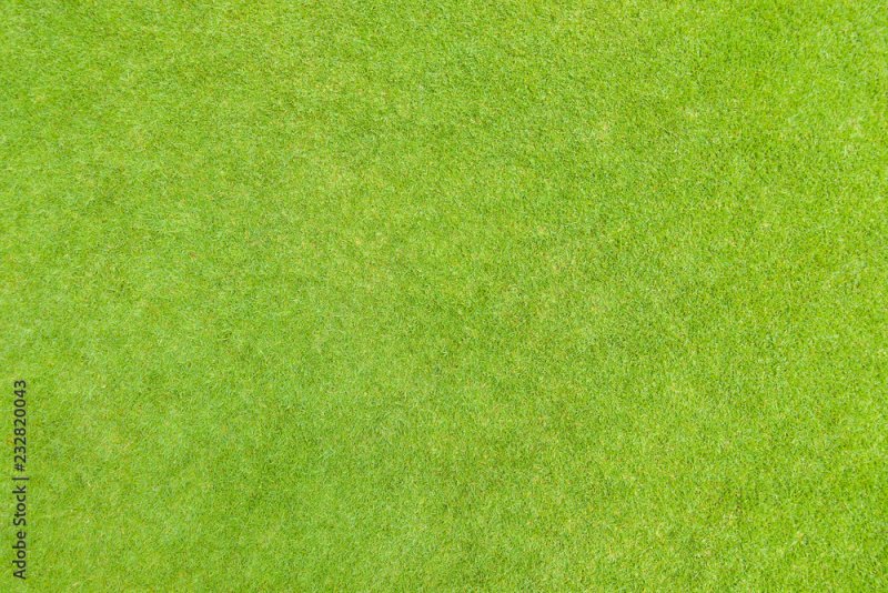 Текстура трава архикад