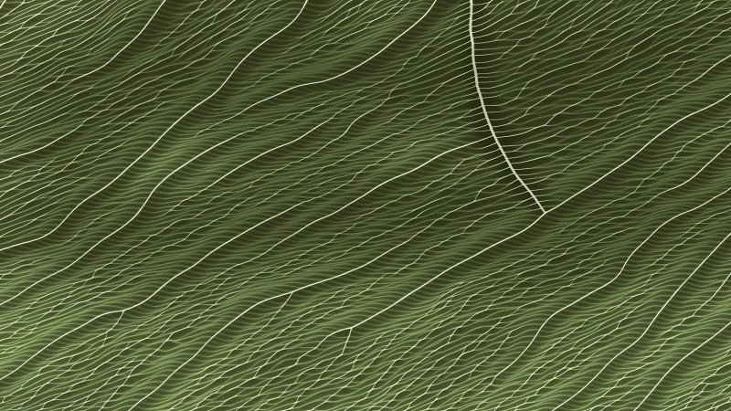 Текстура волокна