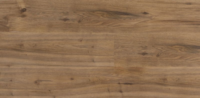 Дуб Гамильтон