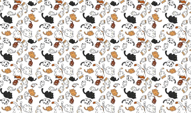 Фон с котиками