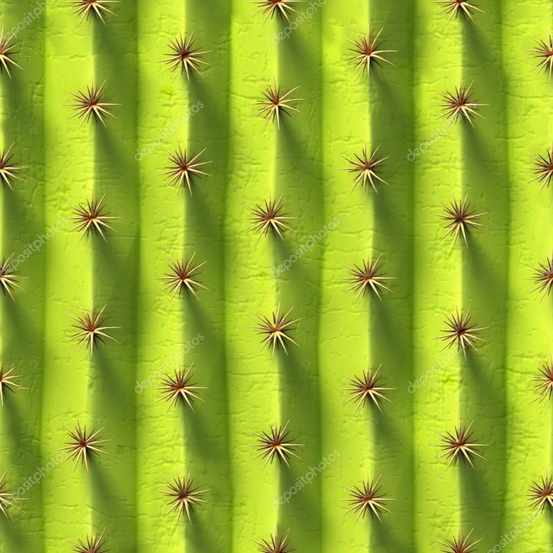 Текстура кактуса