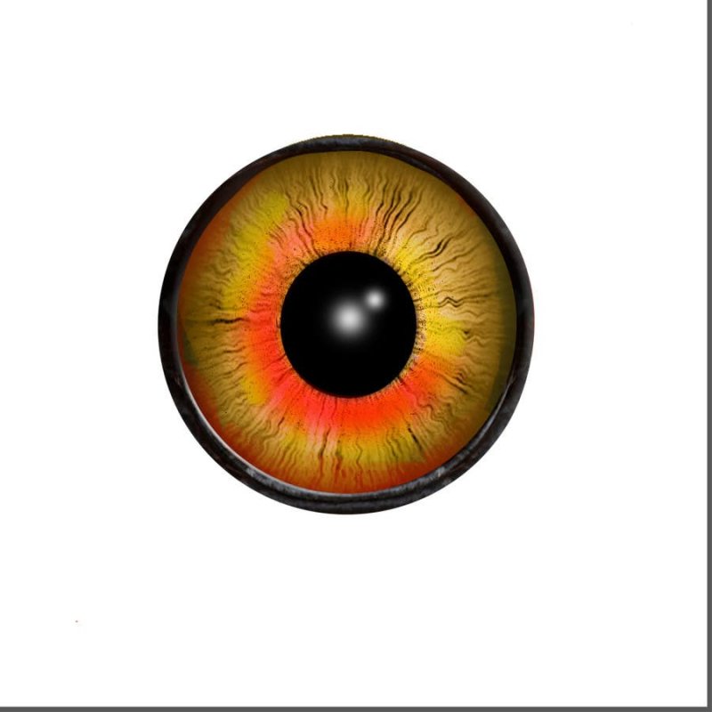 Глазки круглые