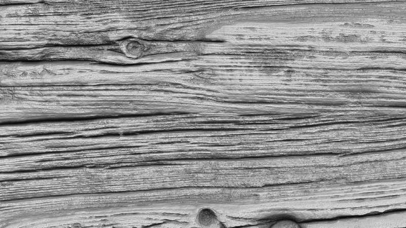 Alpha для Zbrush дерево