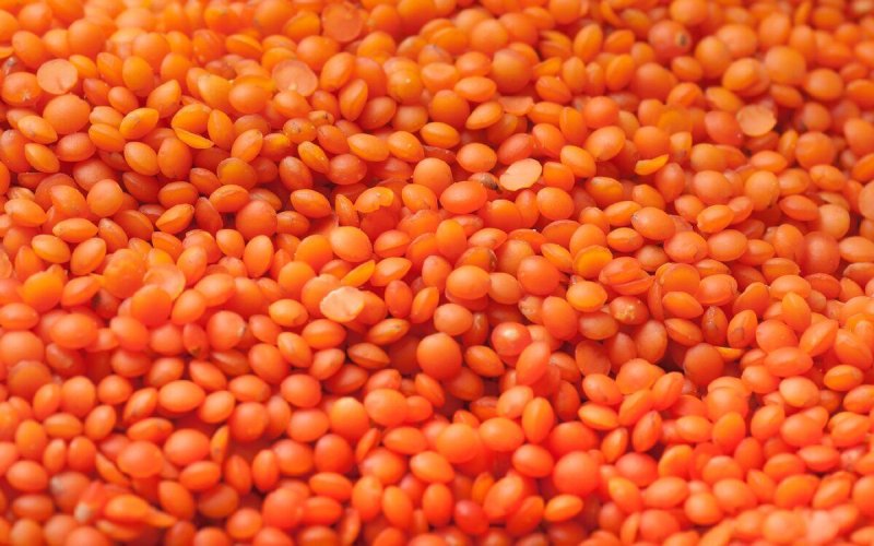 Чечевица Персидская оранж