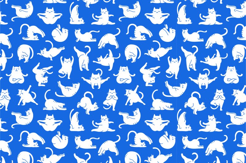 Паттерны котики