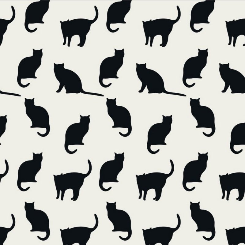 Принты с кошками