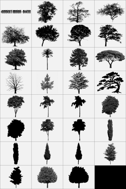 Кисти для фотошопа деревья