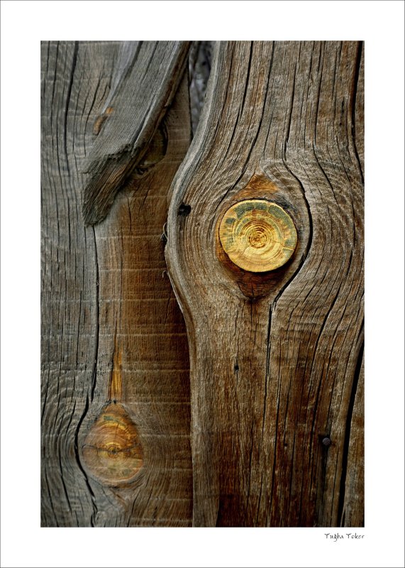 Японская живопись Ваби Саби