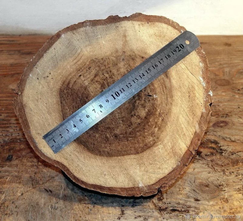 Срез дерева грецкого ореха