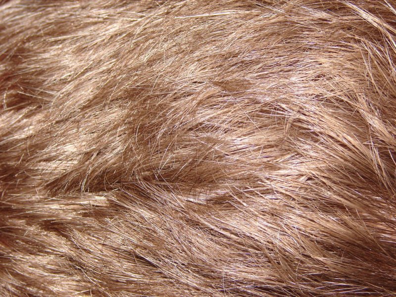 Фактура волос