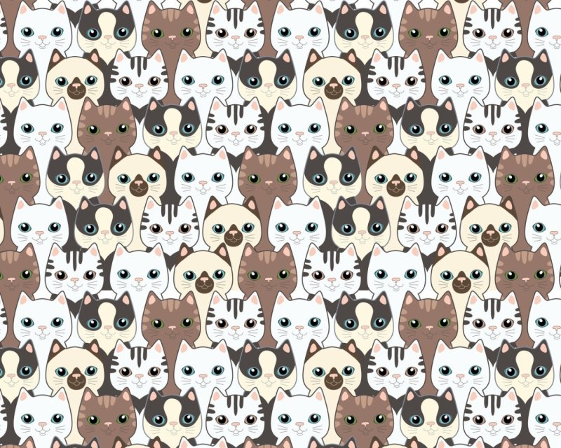 Принты с кошками