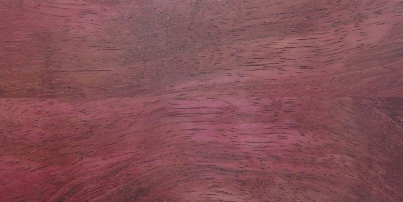 Амарант дерево