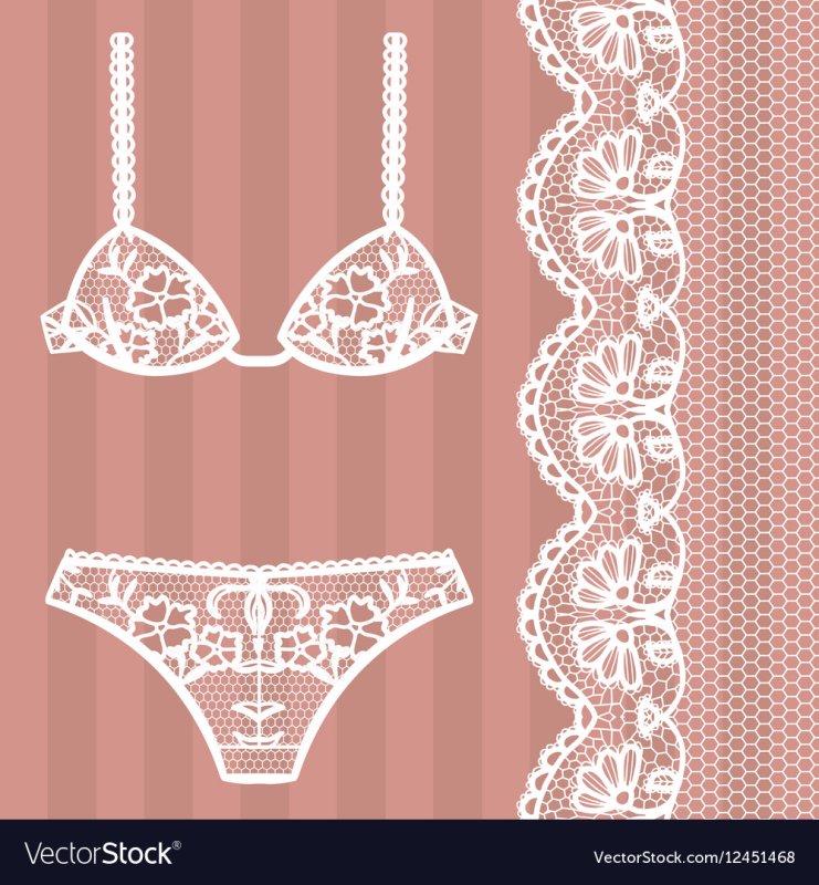 Кружевное нижнее бельё вектор