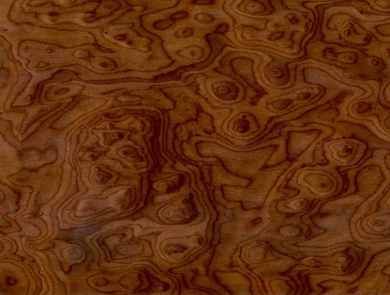 Карельская береза древесина шпон