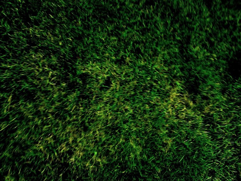 Зеленый газон