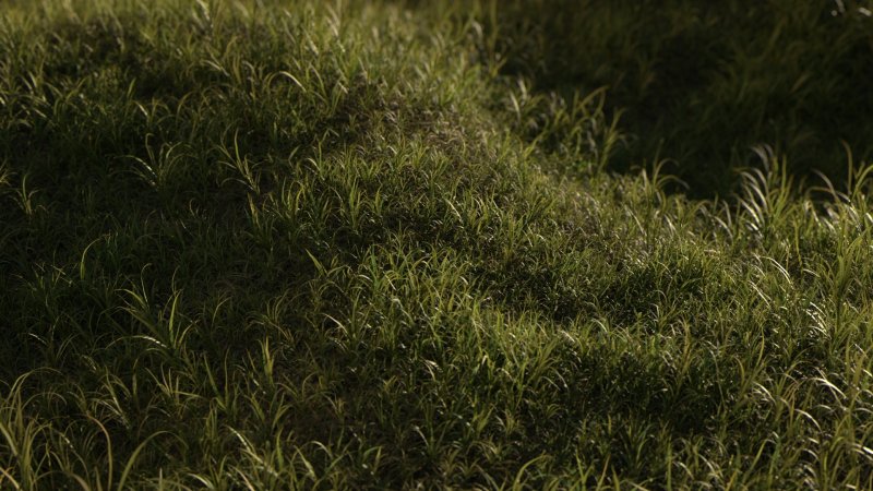 Текстура трава архикад