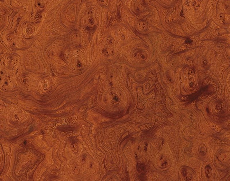 Walnut Burl Wood текстура