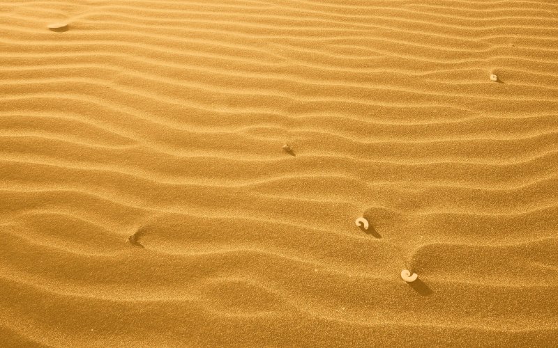 Желтый песок