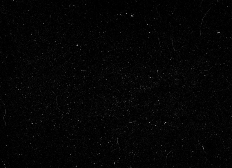 Скан пленочного зерна Ilford Delta 400pr