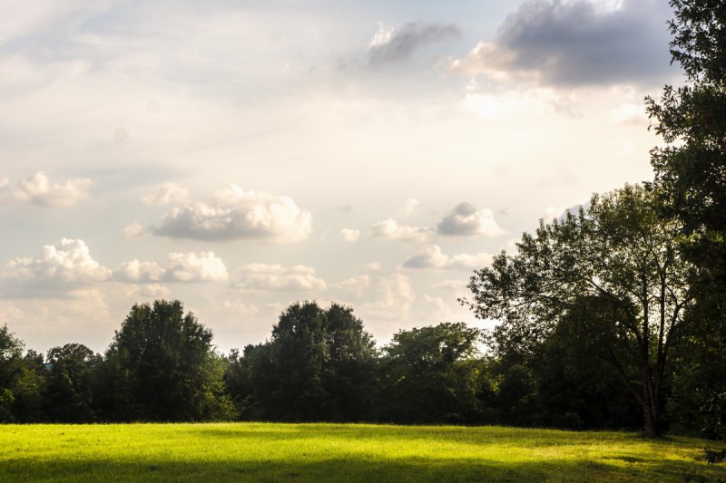 Задний фон для экстерьера