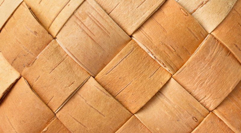 Фактура бересты