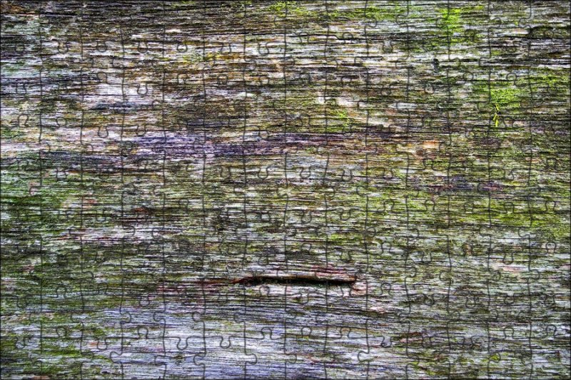 Текстура Болотной воды