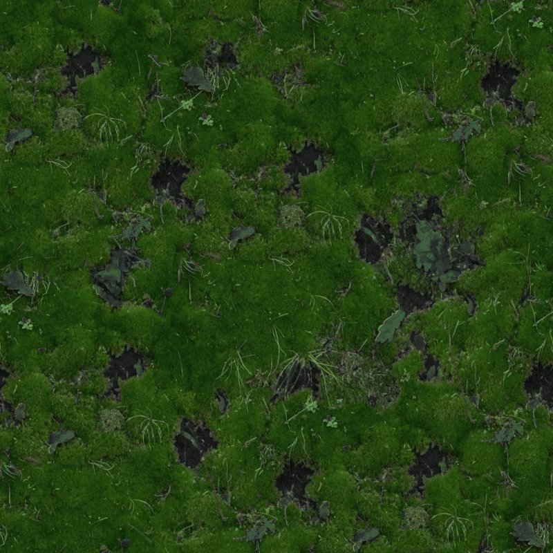 Текстура земли сталкер