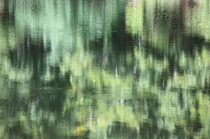 Текстура Болотной воды