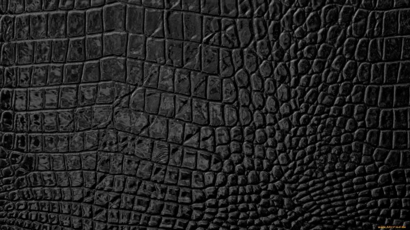 Текстура кожи