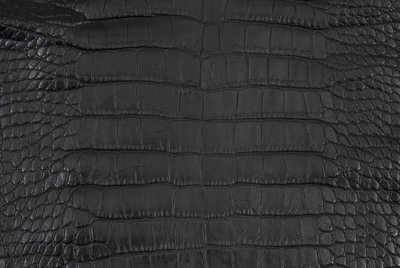 Кожа аллигатора