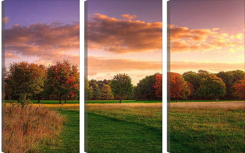 Природа поле лес